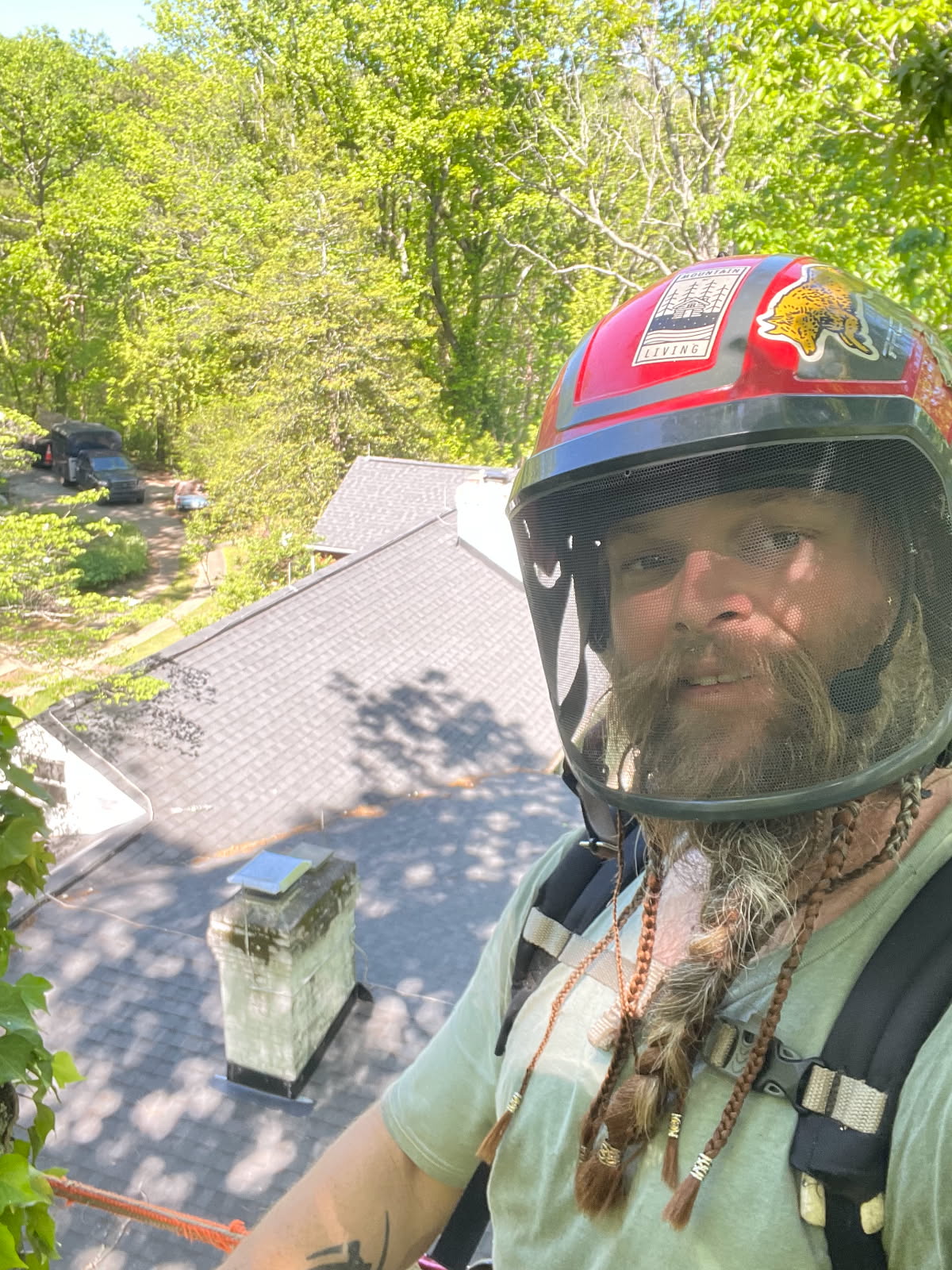 Robert McClaran, founder of Upstate Tree Experts, working on a tree in South Carolina